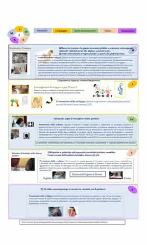 7schedeneurosviluppojpg
