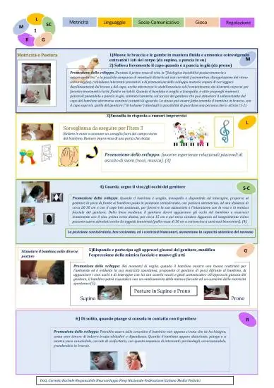 Le 7 schede del neurosviluppo